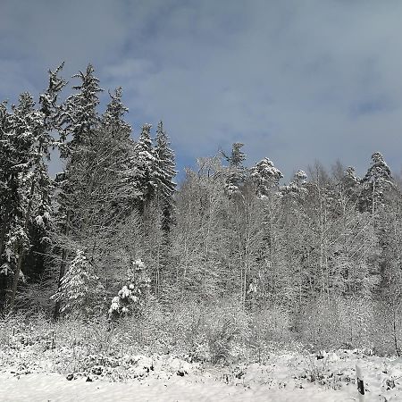 Wachenheim an der Weinstraße Gaestehaus Bacchus מראה חיצוני תמונה