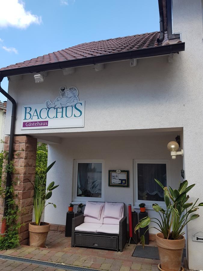 Wachenheim an der Weinstraße Gaestehaus Bacchus מראה חיצוני תמונה