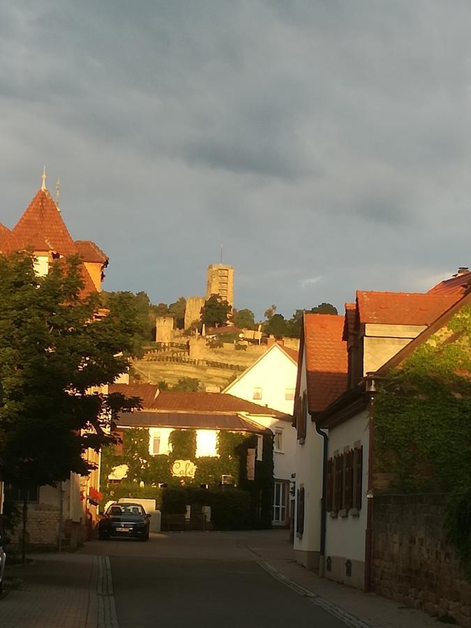Wachenheim an der Weinstraße Gaestehaus Bacchus מראה חיצוני תמונה
