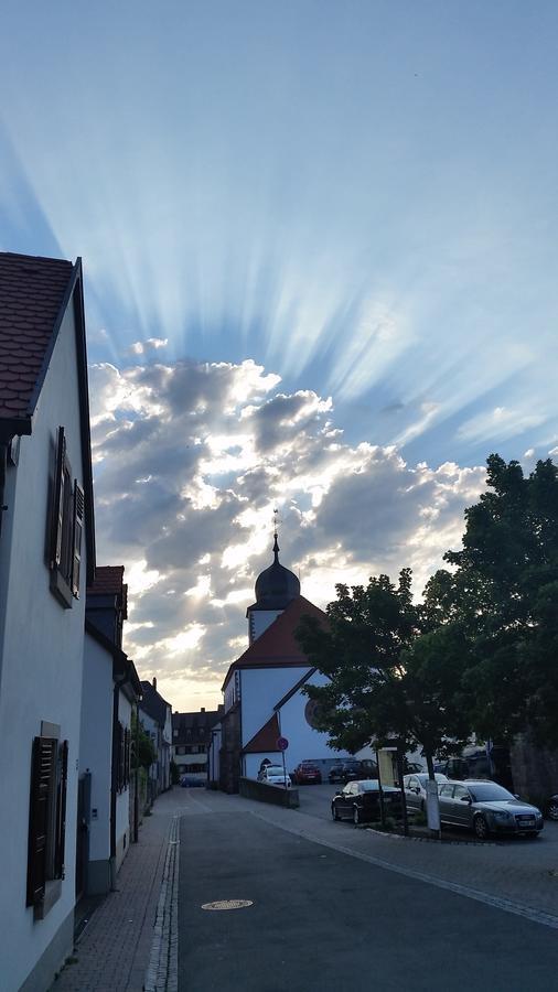 Wachenheim an der Weinstraße Gaestehaus Bacchus מראה חיצוני תמונה
